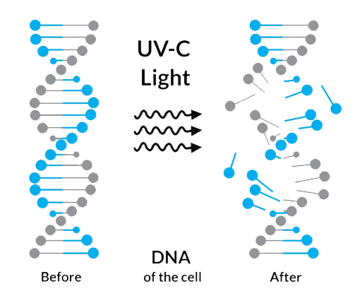 ضدعفونی کننده اشعه ضدعفونی کننده UVC